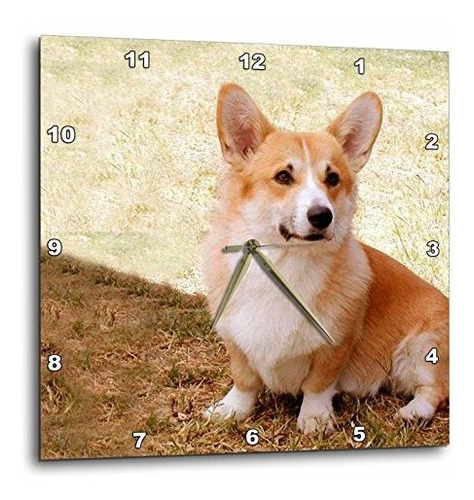 3drose Pembroke Welsh Corgi Wall Clock, 10 Por 10 Pulgadas