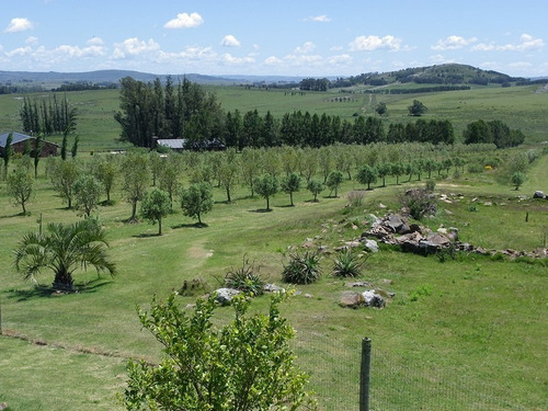 Imagen 4 de 9 de Quinta En Venta En Laguna Del Sauce