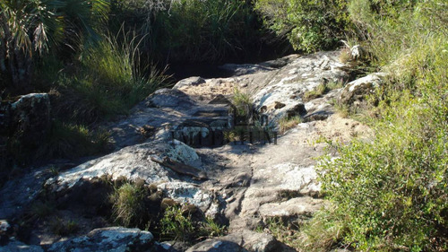 Venta, Campo 98 Hectáreas En Sierras De Carapé
