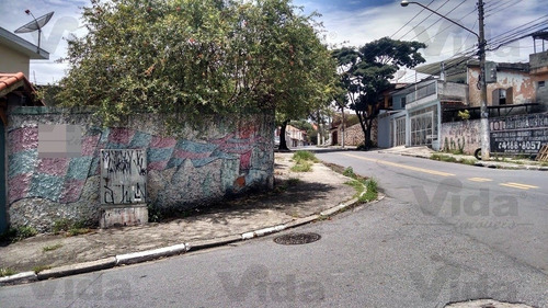 Imagem 2 de 8 de Terreno Para Venda, 250.0m² - 26275