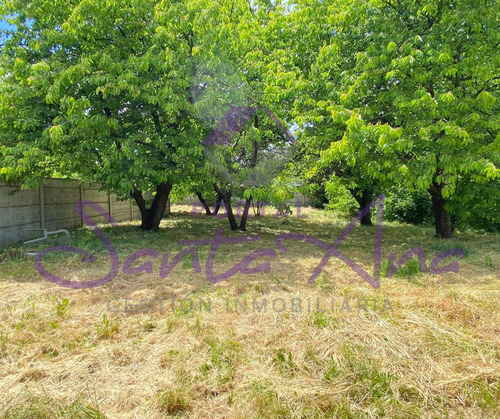 Vendo Sitio De 950 Mts En Labranza
