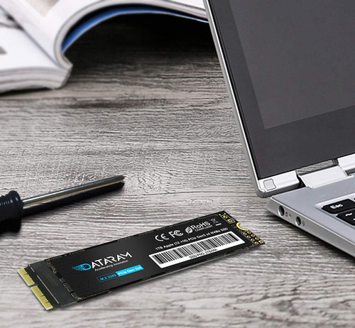 Dataram SSD-PM2-1TB/MA 1 MB