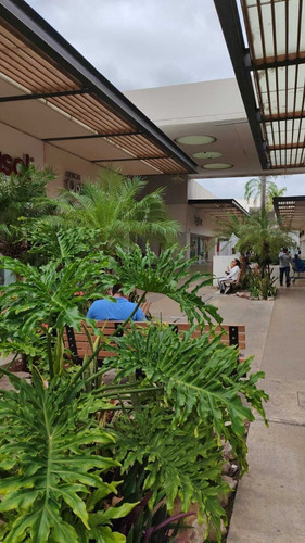 Terrazas De 350 M2 Para Isla
