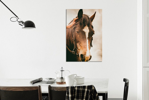 Cuadro 40x60cm Caballo Campo Horse M6