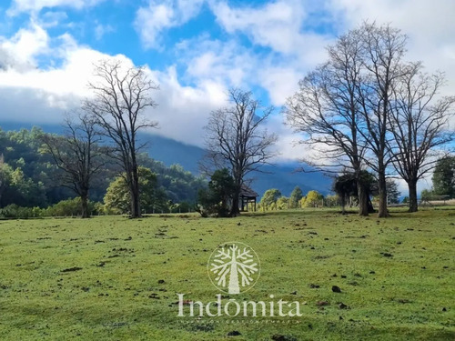 Hermoso Campo De 3 Ha Con Borde De Lago Inferior