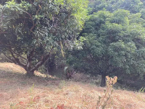 Lote Anapoima Conjunto Cerrado