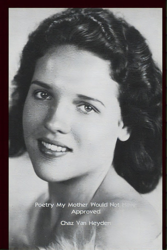 Poetry My Mother Would Not Have Approved, De Van Heyden, Chaz. Editorial Lightning Source Inc, Tapa Blanda En Inglés