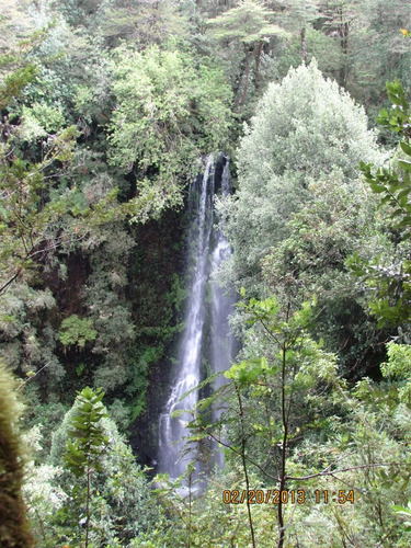 Agrícola En Venta En Lago Ranco
