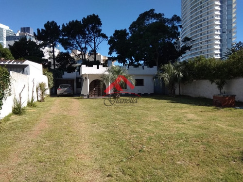 Casa En Playa Mansa - Ref: 1550