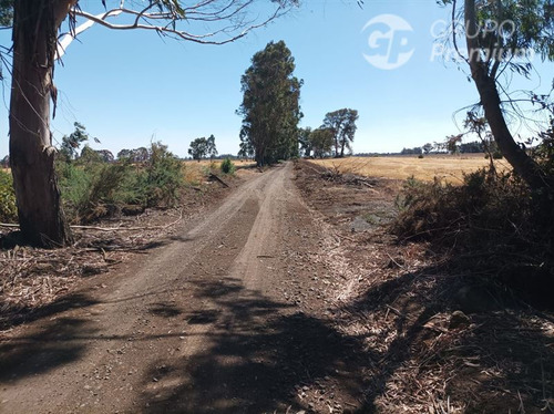 Imagen 15 de 17 de Terreno Agrícola En Venta En Victoria