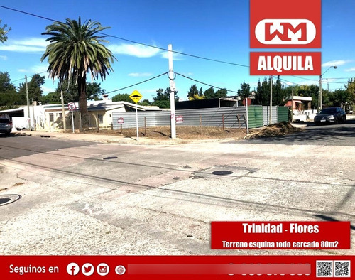 Alquiler Terreno Esquina En Trinidad Flores Todo Cerrado