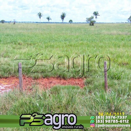 Imagem 2 de 4 de Fazenda À Venda, 42500 Hectares Por R$ 800.000.000 - Chácara Das Mansões - Campo Grande/ms - Fa0134