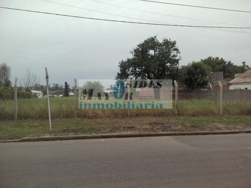 Imagen 2 de 9 de Terrenos C/todos Los Serv.