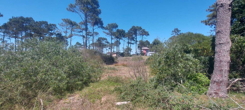 Terreno En Venta En El Bosque En Punta Del Diablo