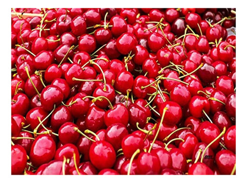 Cerezas Frescas - Tabla De Cortar De Cerezo Rojo