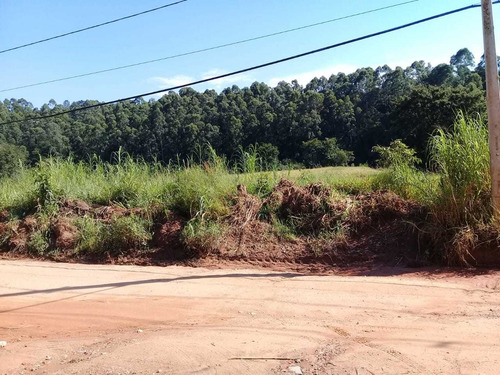 Imagem 12 de 14 de Belo Sitio Com Área De 154 Mil M², Casa Sede E Piscina !!