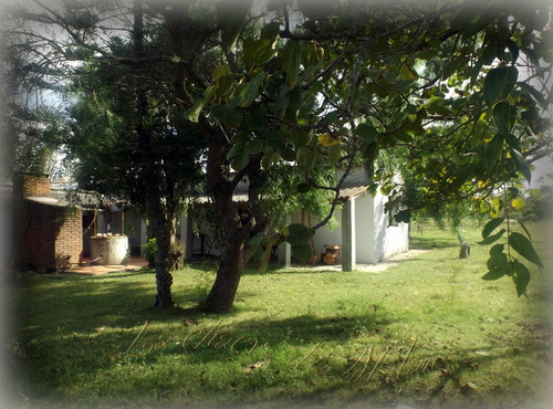 Campo De 35 Hectáreas (con Casa)