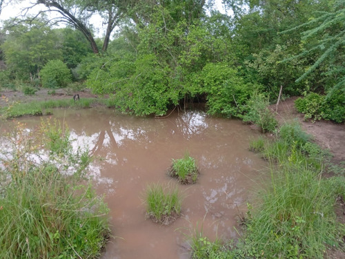 Campo Sobre Ruta