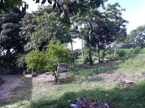 Lote, Qrts Para À Venda, Com 3.929,00 M², No Novo Horizonte,serra. - 791