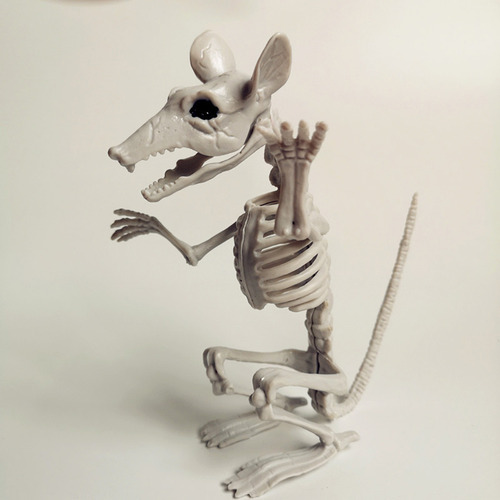 F Animal Skeleton Bones Para La Simulación De Terror De Hall