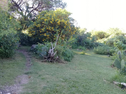 Villa Los Aromos Vendo Propiedad Ecologica 3 En 1:casa Iglú Casita