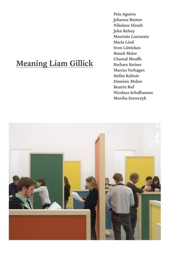 Livro Meaning Liam Gillick