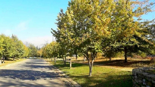 Sitio En Venta En Lo Barnechea