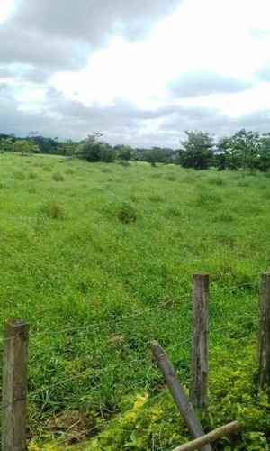 Imagen 9 de 13 de Venta Para Inversion Finca Hacienda En Produccion