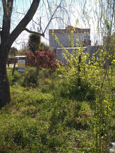 Imagen 9 de 21 de Lote En Venta En Juan Maria Gutierrez
