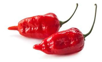 Semillas De Pimiento Bhut Jolokia El Mas Picante!!!