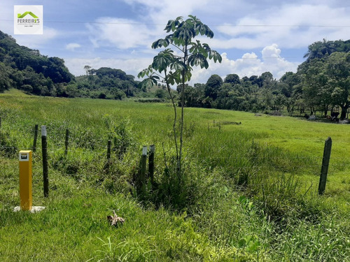 Imagem 3 de 30 de Sítio A Venda No Bairro Parque Capivari Em Duque De Caxias - 834-1