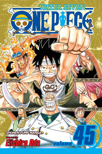 Libro: One Piece, Vol. 45 (45)