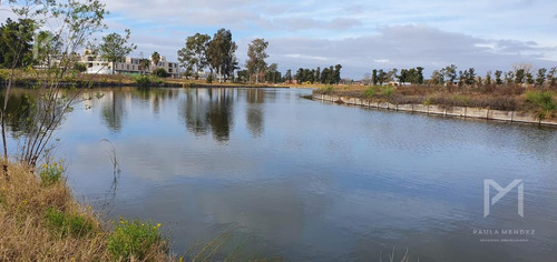 Imagen 5 de 21 de Venta - Lote - Terreno - Barrio Laguna Grande - Villanueva - Tigre - Al Agua