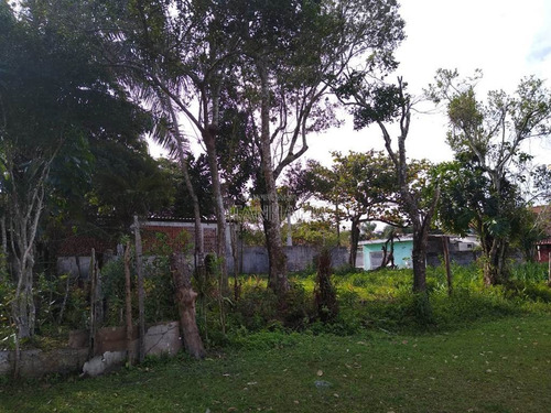 Imagem 1 de 3 de Terreno - Venda - Diplomata - Itanhaem - Ita3204