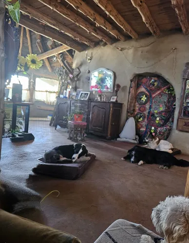 Guardería & Pensionado Canino En Bariloche Sin Jaulas