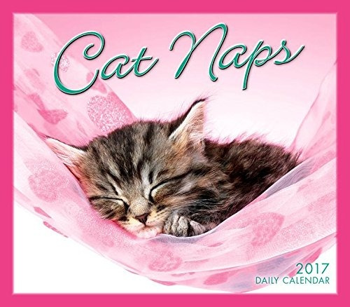 Cat Naps 2017 Boxeddaily Calendar