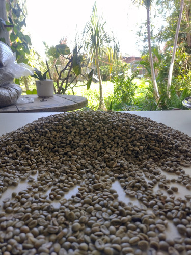 Cafe Kairos, Tueste Medio Alto, En Grano