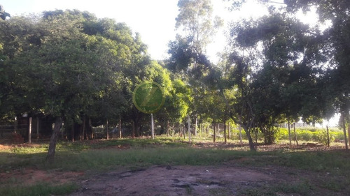 Imagem 18 de 30 de Venda: Chácara Sonho Meu - Santa Rita - Ch00154