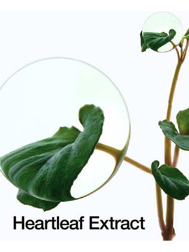Anua Heartleaf 70 Intense Calming Cream Calma, Hidrata Piel Todo Tipo De Piel Día