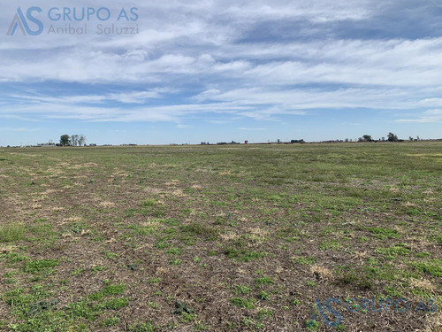 Excelente Campo Agricola De 62,73 Has.
