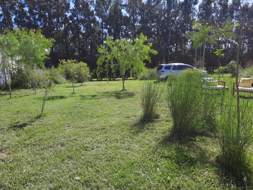 Venta Casa Container En Carlos Keen - Terreno 1100 Mtrs. / Lote Grande En Zona Comercial