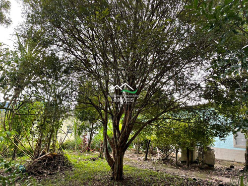Imagem 10 de 20 de Chácara, Area Rural, Pedro De Toledo - R$ 100 Mil, Cod: 607 - V607