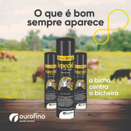 Berne Em Cachorro Inicio Mata Bicheira Lepecid