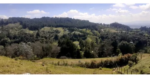 Lote En Vender En Rionegro