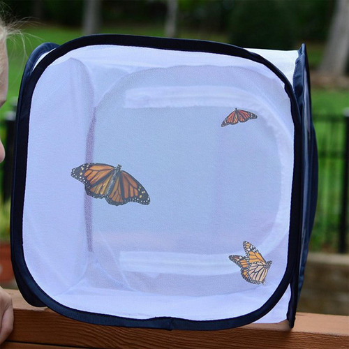 Hábitat De Oruga Plegable Para Insectos Criando La