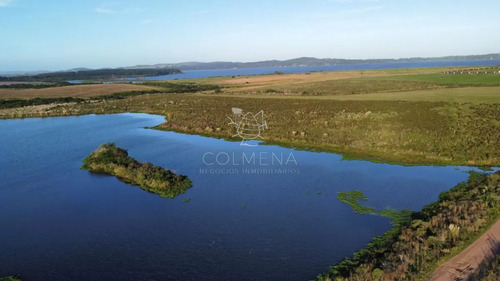 Campo Con 300 M De Frente A Laguna, Cuenta Con Un Islote Lugar Muy Pintoresco.