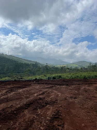 Imagem 20 de 30 de 51- Terrenos Em Mogi Das Cruzes Com Mil Metros