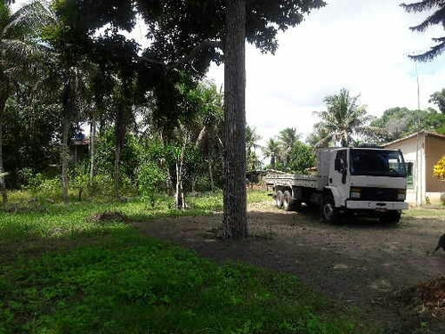 Imagem 11 de 14 de Chácara Br 324 15km De Feira De Santana Próxi Posto São Luis