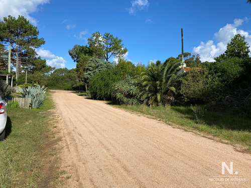 Imagen 6 de 8 de Tío Tom A 500 Mts. Del Mar