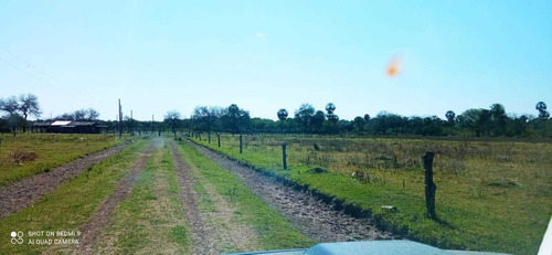 Imagen 9 de 12 de Campo Ganadero En Manuel Belgrano Formosa 944 Hectareas